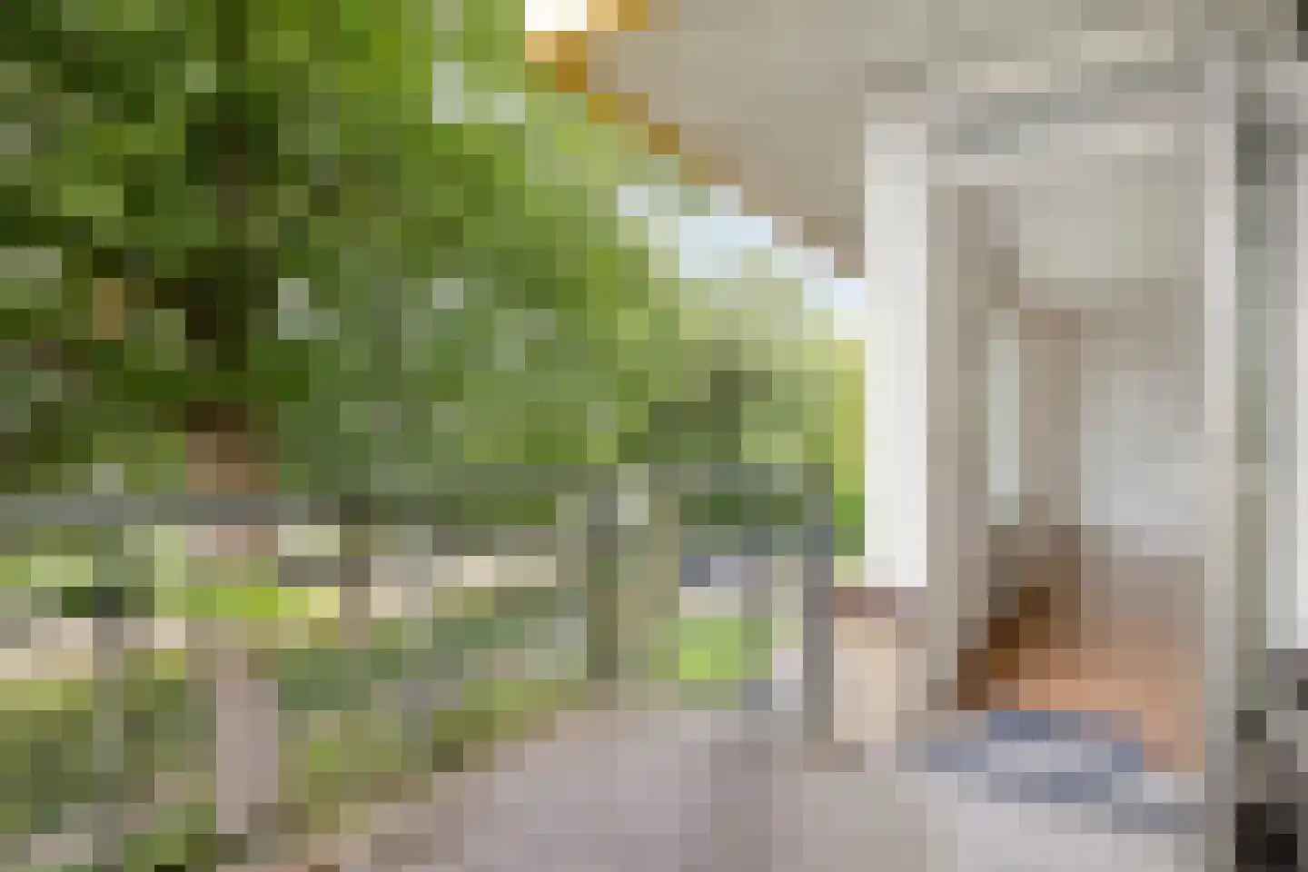 De Vrijheidslaan 32 Oosterbeek thumbnail 6