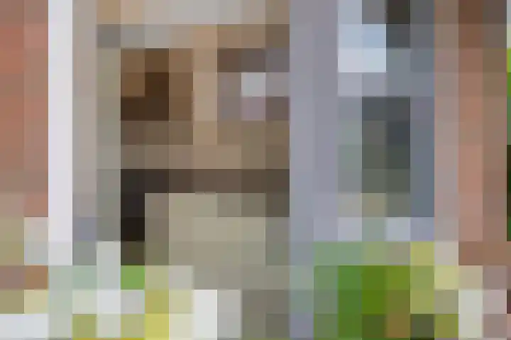 De Vrijheidswerf 1 Rosmalen thumbnail 12