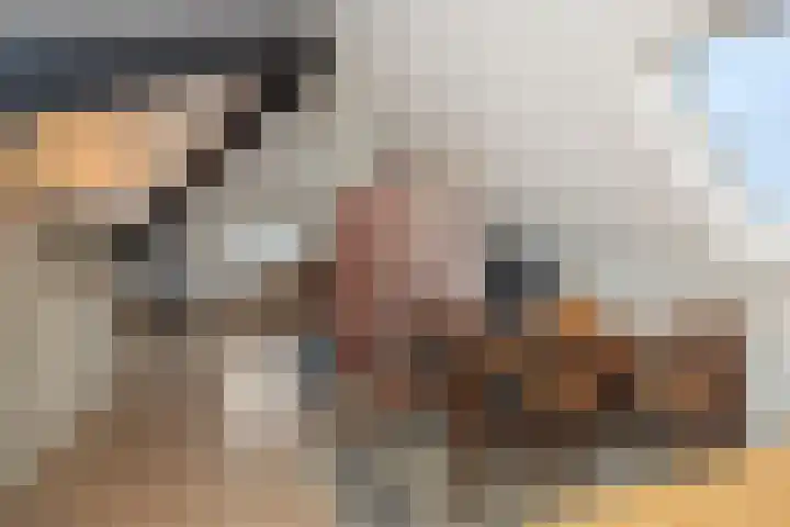 De Vrijheidswerf 1 Rosmalen thumbnail 24