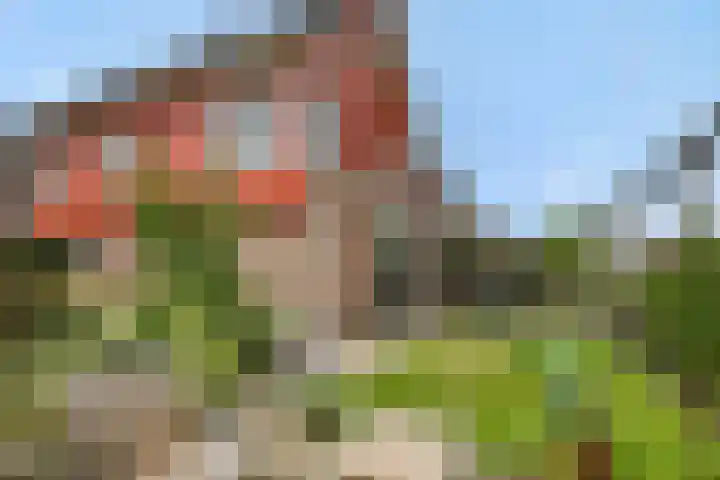 De Vrijheidswerf 1 Rosmalen thumbnail 27