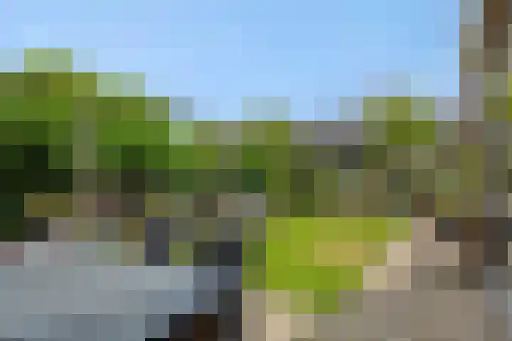 De Vrijheidswerf 1 Rosmalen thumbnail 28