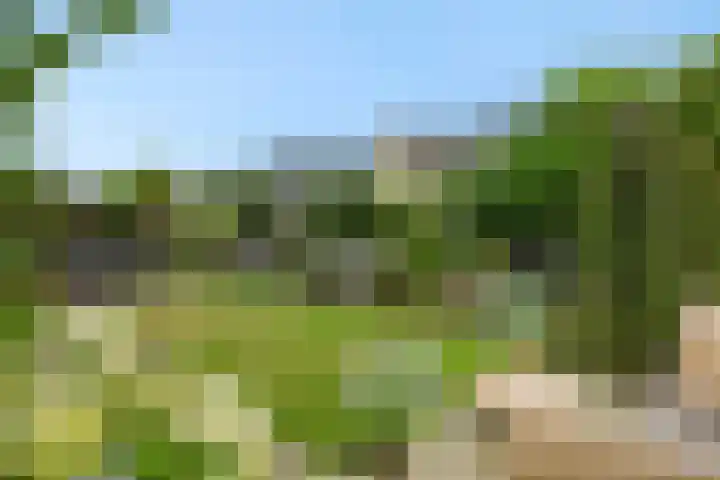 De Vrijheidswerf 1 Rosmalen thumbnail 30