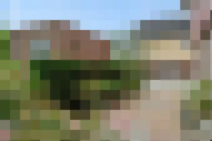 De Vrijheidswerf 1 Rosmalen thumbnail 34