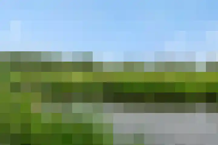 De Vrijheidswerf 1 Rosmalen thumbnail 42