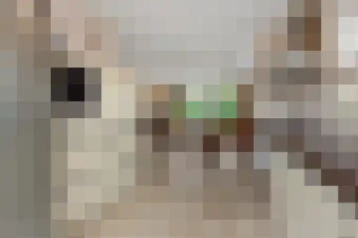 De Vrijheidswerf 1 Rosmalen thumbnail 9