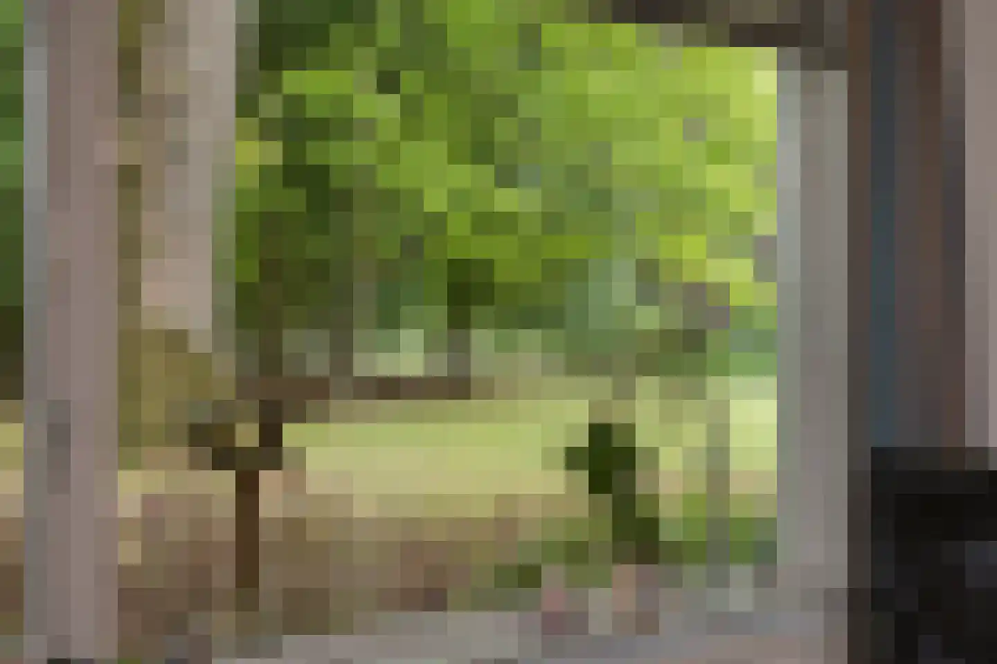 De Vrijhof 3 Oosterbeek thumbnail 13