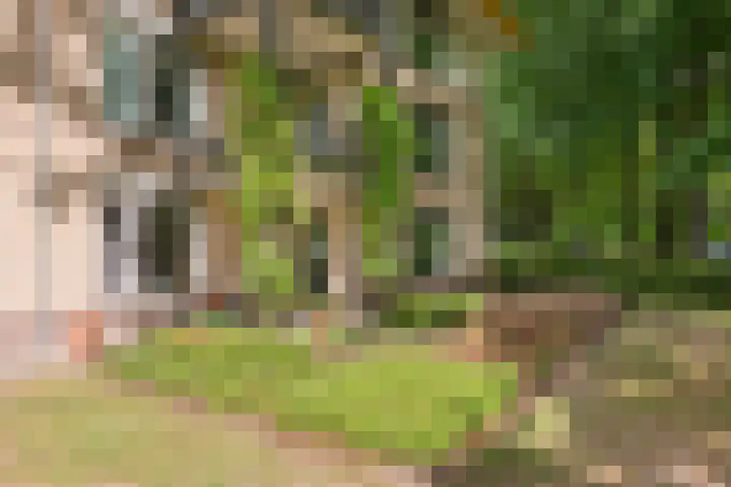 De Vrijhof 3 Oosterbeek thumbnail 36