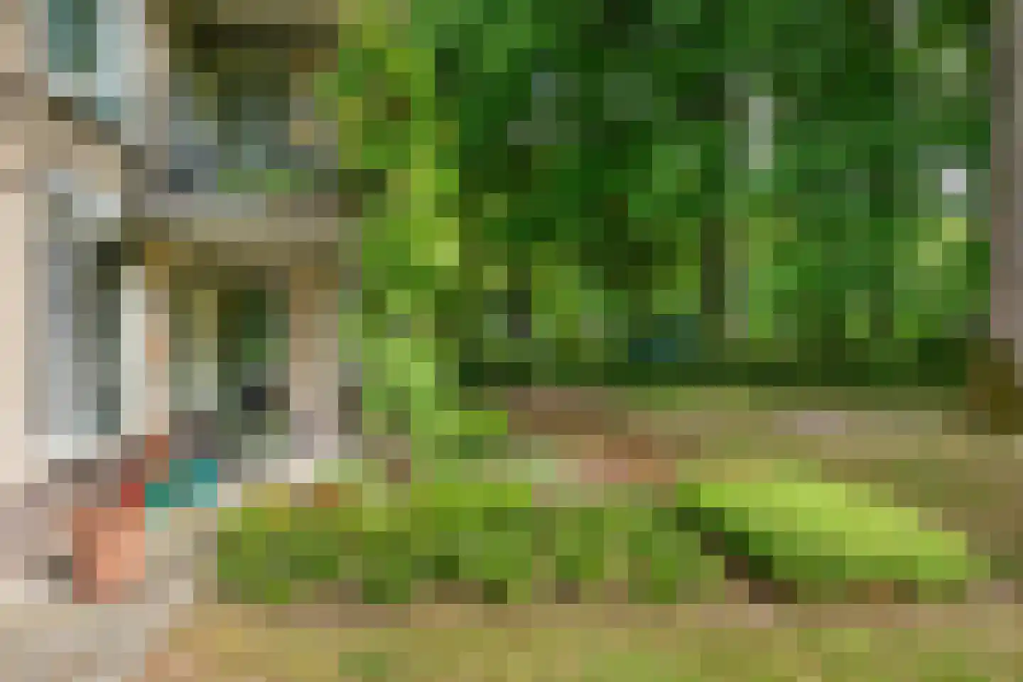 De Vrijhof 3 Oosterbeek thumbnail 37