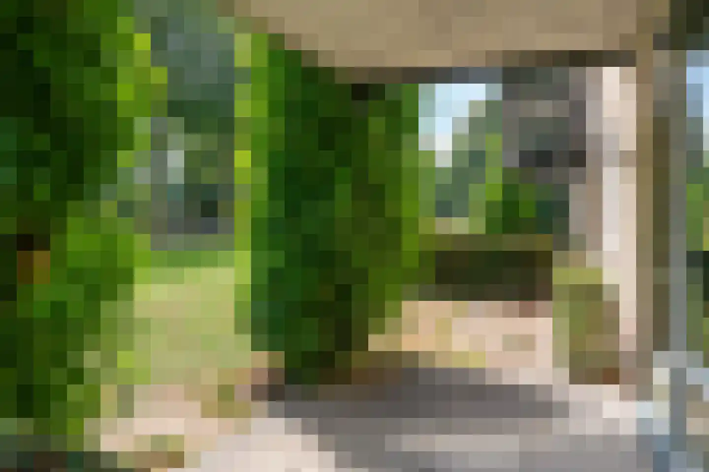 De Vrijhof 4 Oosterbeek thumbnail 36