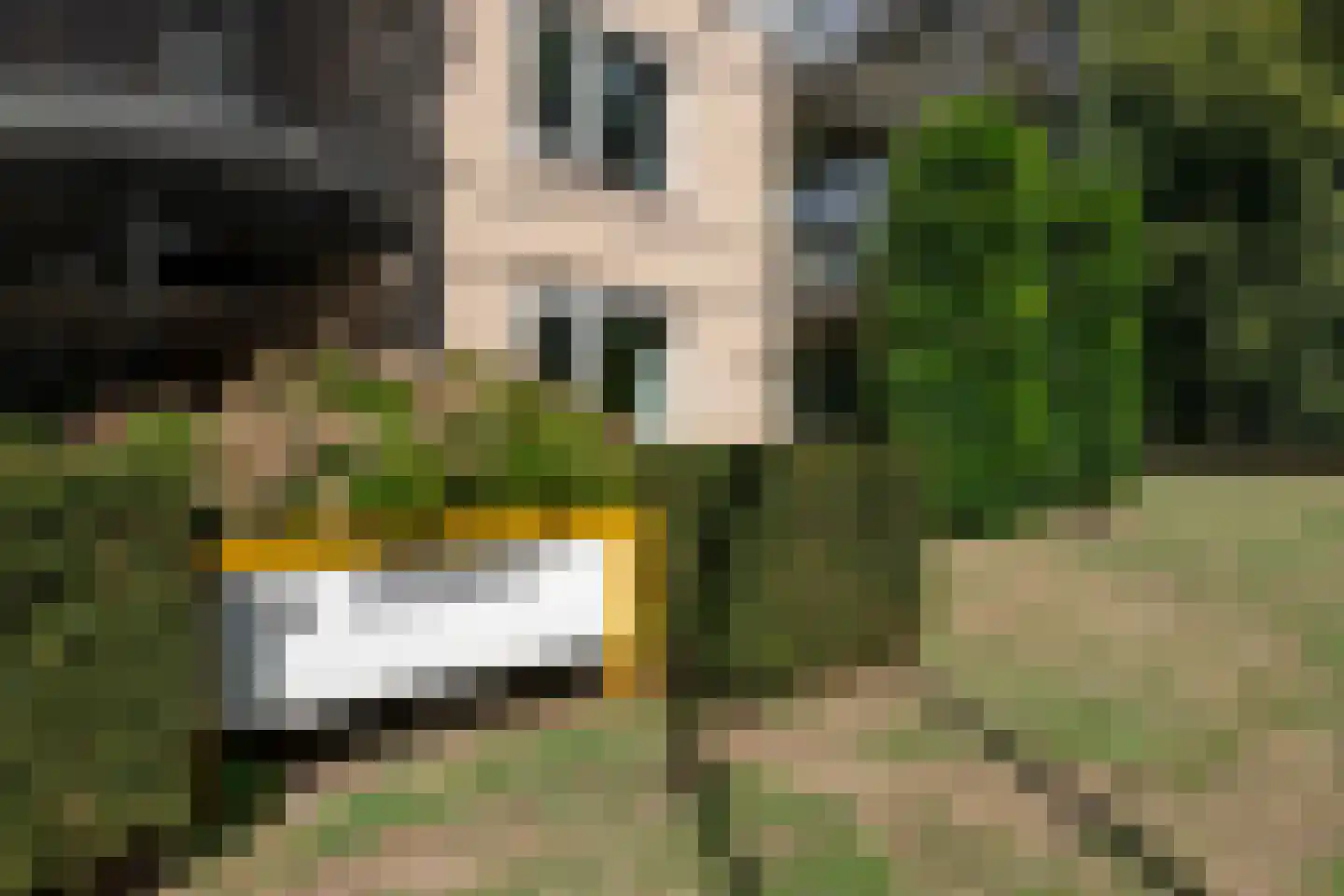 De Vrijhof 4 Oosterbeek thumbnail 40