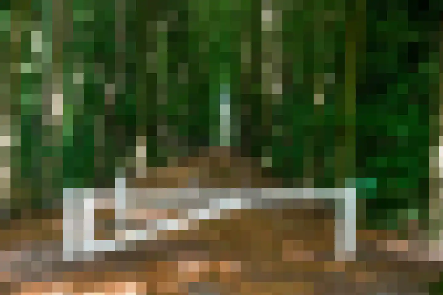 De Vrijhof 4 Oosterbeek thumbnail 50