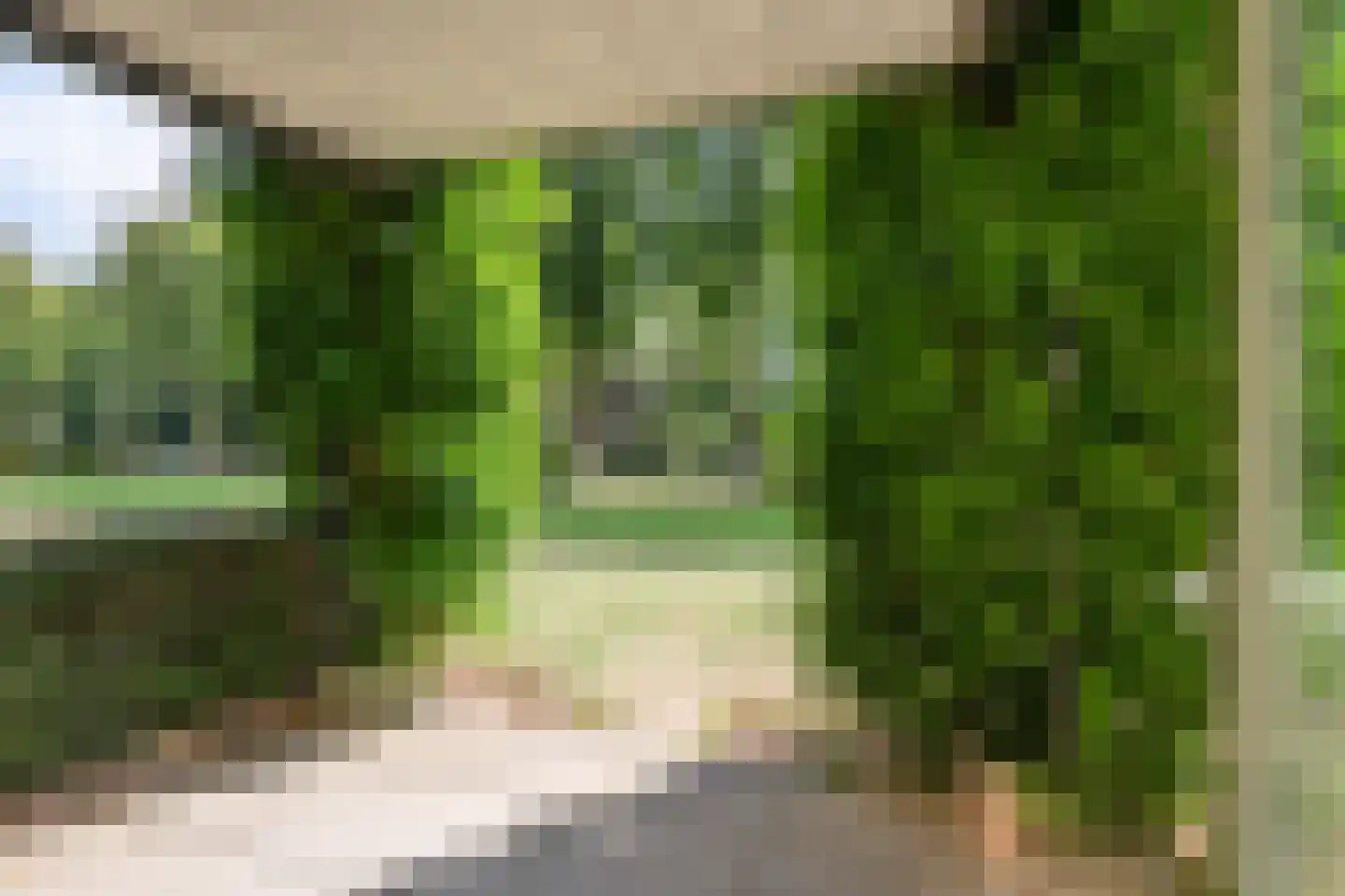 De Vrijhof 4 Oosterbeek thumbnail 6