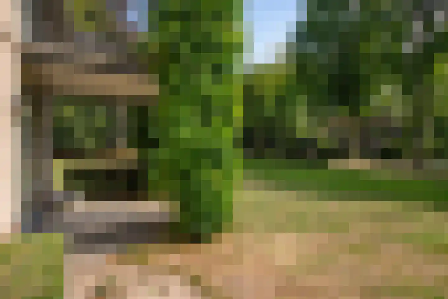 De Vrijhof 4 Oosterbeek thumbnail 7