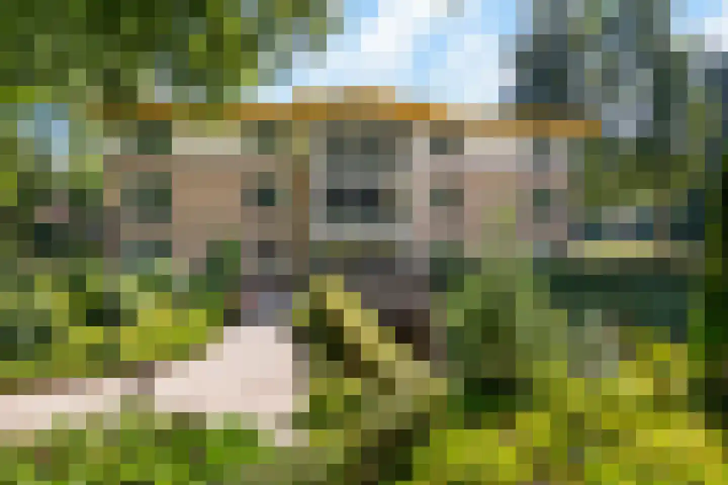 De Vrijhof 4 Oosterbeek thumbnail 9