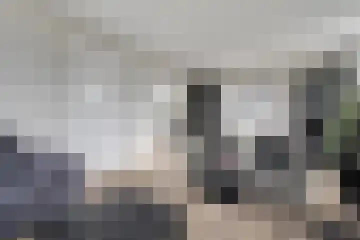 De Vrijhofweg 3 Zwolle thumbnail 12