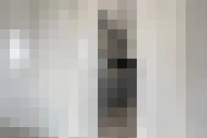 De Vrijhofweg 3 Zwolle thumbnail 14