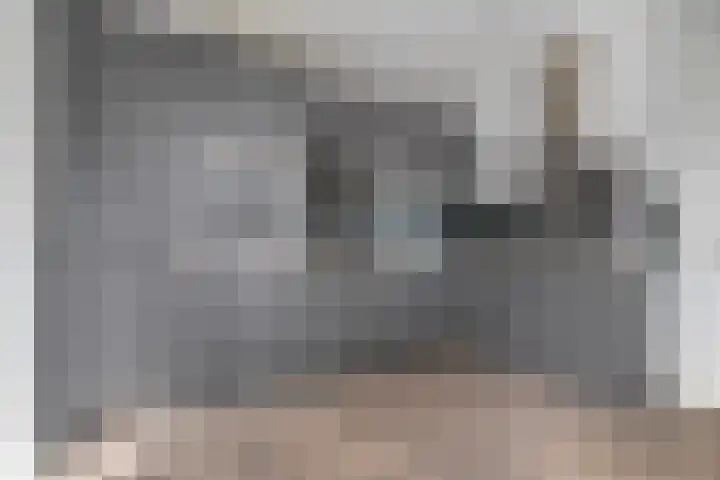 De Vrijhofweg 3 Zwolle thumbnail 16