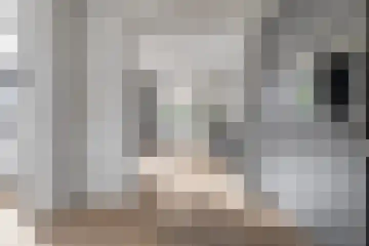 De Vrijhofweg 3 Zwolle thumbnail 17