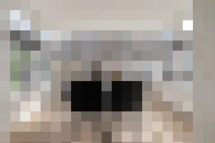 De Vrijhofweg 3 Zwolle thumbnail 18