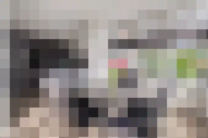 De Vrijhofweg 3 Zwolle thumbnail 19
