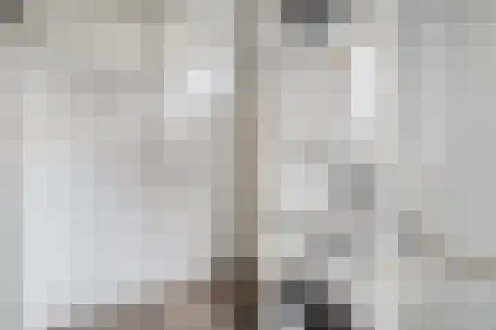 De Vrijhofweg 3 Zwolle thumbnail 20