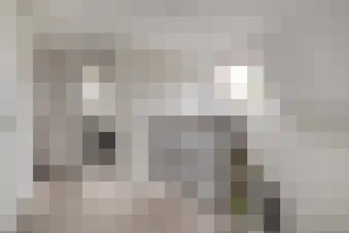 De Vrijhofweg 3 Zwolle thumbnail 22