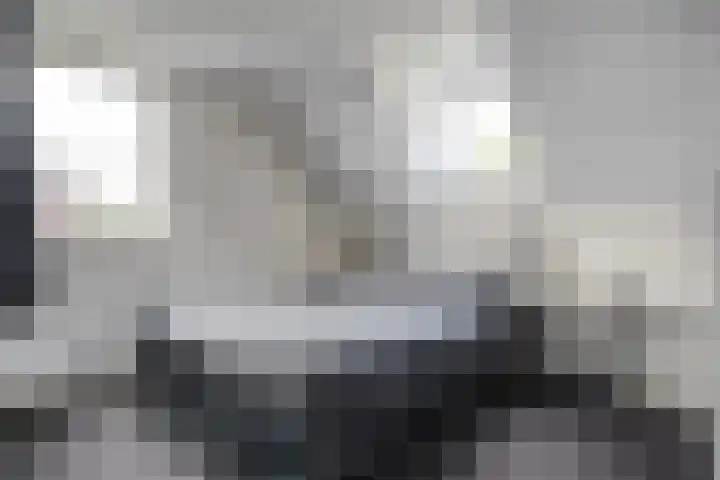 De Vrijhofweg 3 Zwolle thumbnail 24