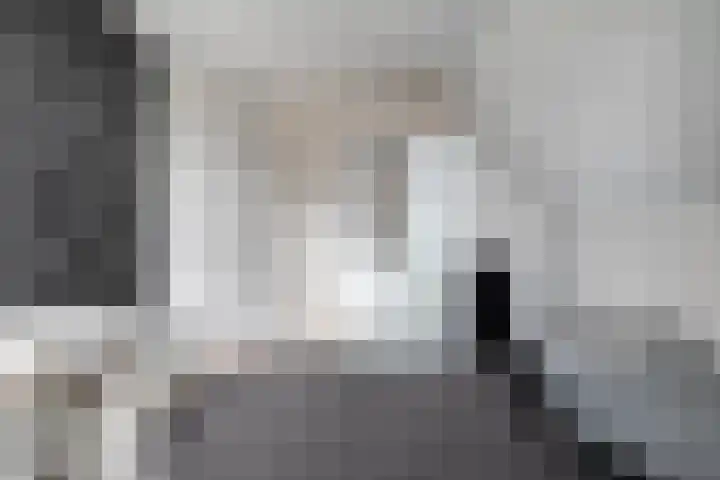 De Vrijhofweg 3 Zwolle thumbnail 30