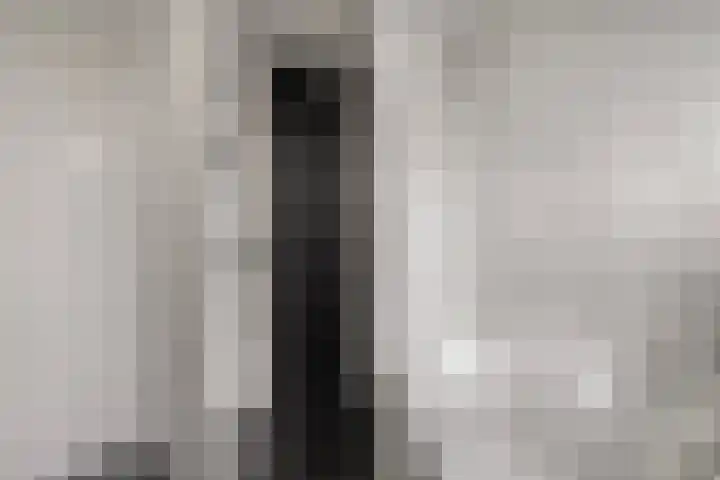 De Vrijhofweg 3 Zwolle thumbnail 33