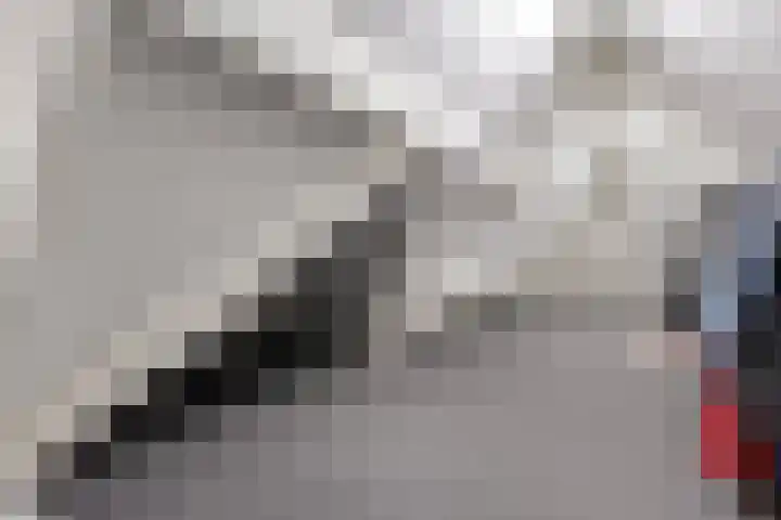 De Vrijhofweg 3 Zwolle thumbnail 36