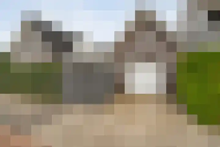 De Vrijhofweg 3 Zwolle thumbnail 38