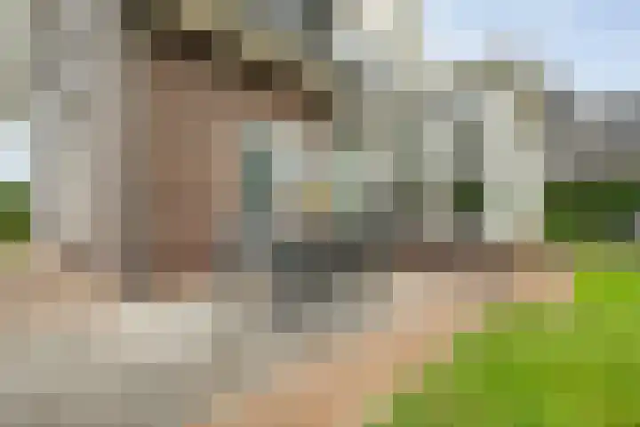 De Vrijhofweg 3 Zwolle thumbnail 40