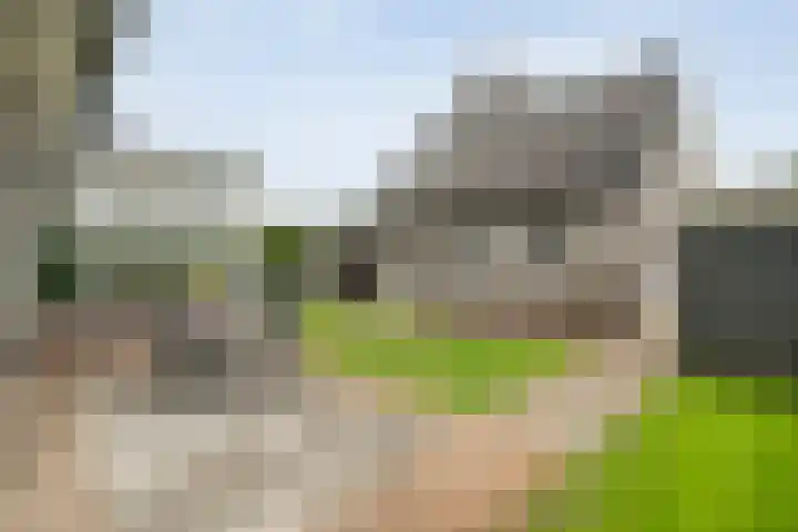 De Vrijhofweg 3 Zwolle thumbnail 41