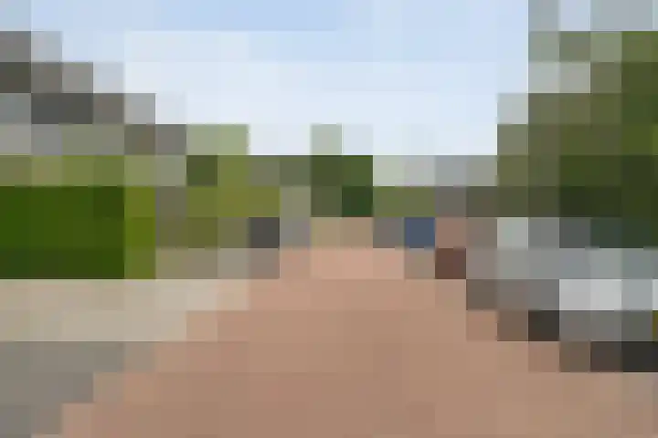 De Vrijhofweg 3 Zwolle thumbnail 42