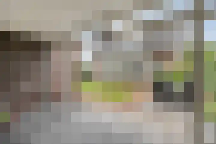 De Vrijhofweg 3 Zwolle thumbnail 44