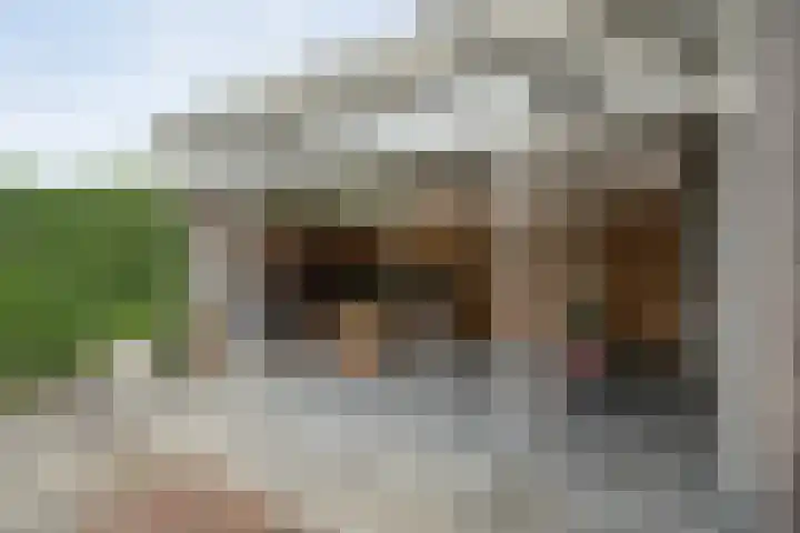 De Vrijhofweg 3 Zwolle thumbnail 45
