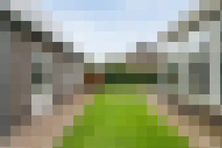 De Vrijhofweg 3 Zwolle thumbnail 46
