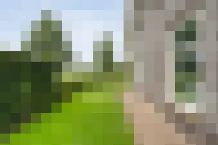 De Vrijhofweg 3 Zwolle thumbnail 47