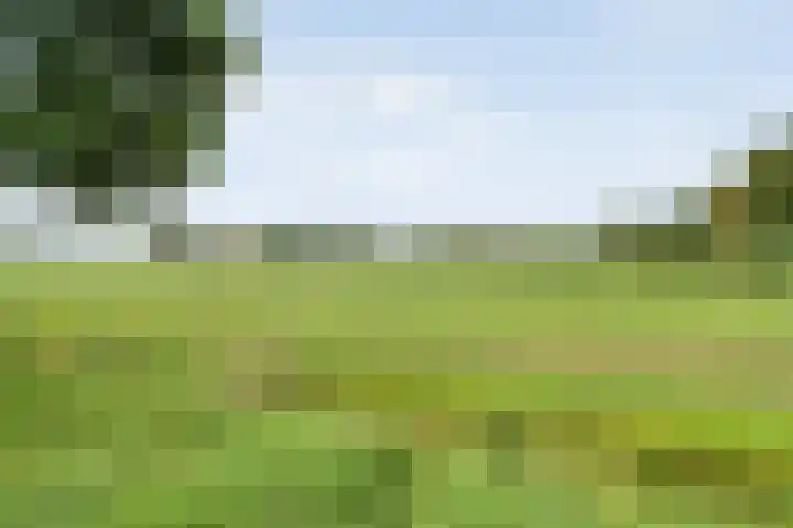 De Vrijhofweg 3 Zwolle thumbnail 48