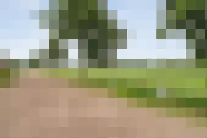 De Vrijhofweg 3 Zwolle thumbnail 49