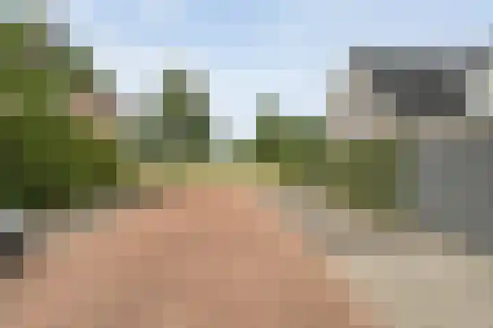 De Vrijhofweg 3 Zwolle thumbnail 51