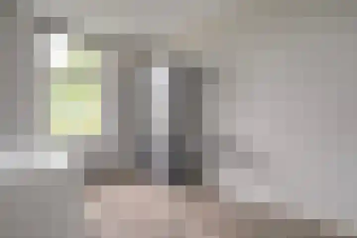 De Vrijhofweg 3 Zwolle thumbnail 6