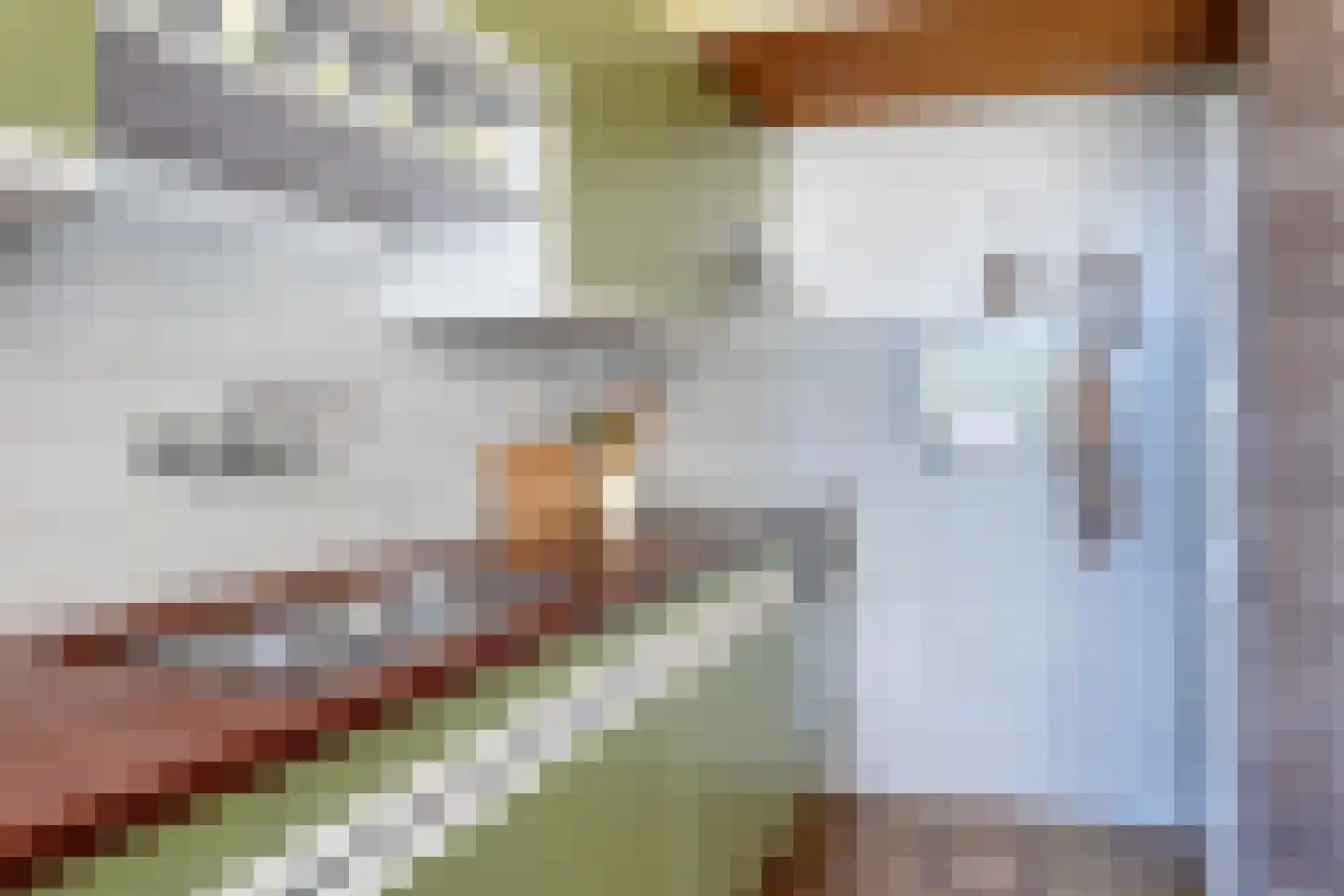 De Vroedschap 10 Krimpen aan den IJssel thumbnail 11