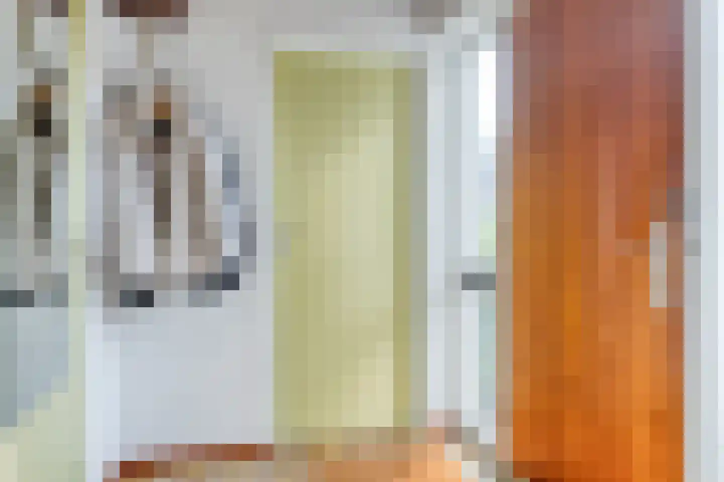 De Vroedschap 10 Krimpen aan den IJssel thumbnail 13