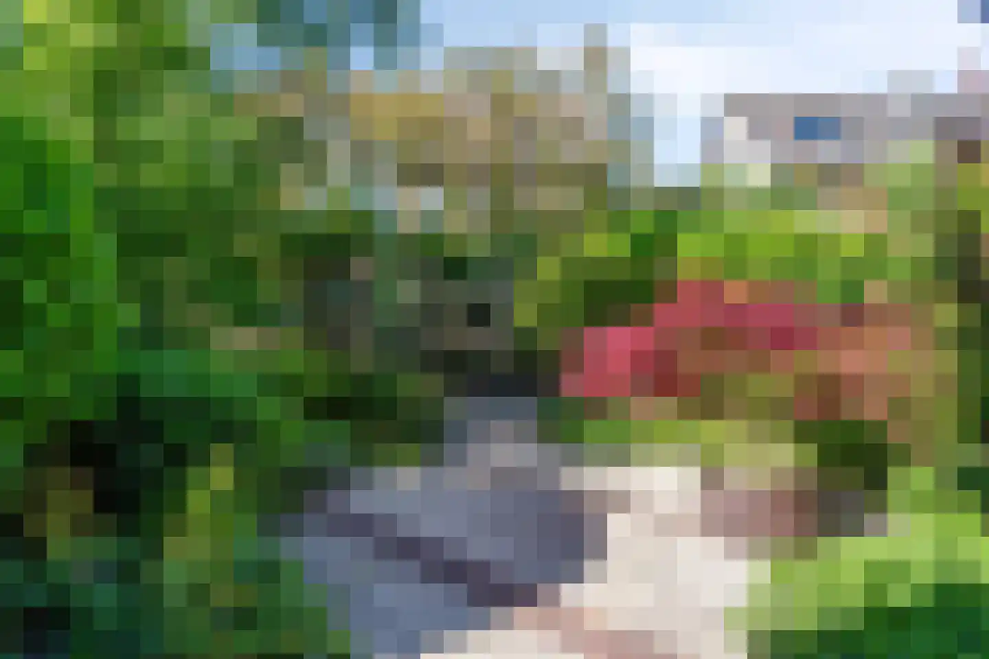 De Vroedschap 10 Krimpen aan den IJssel thumbnail 39