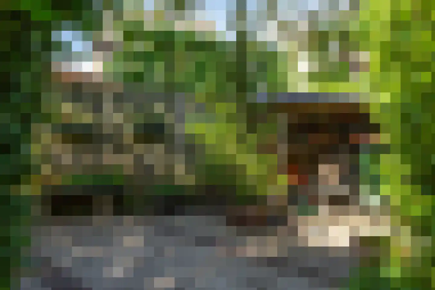 De Vroedschap 10 Krimpen aan den IJssel thumbnail 40
