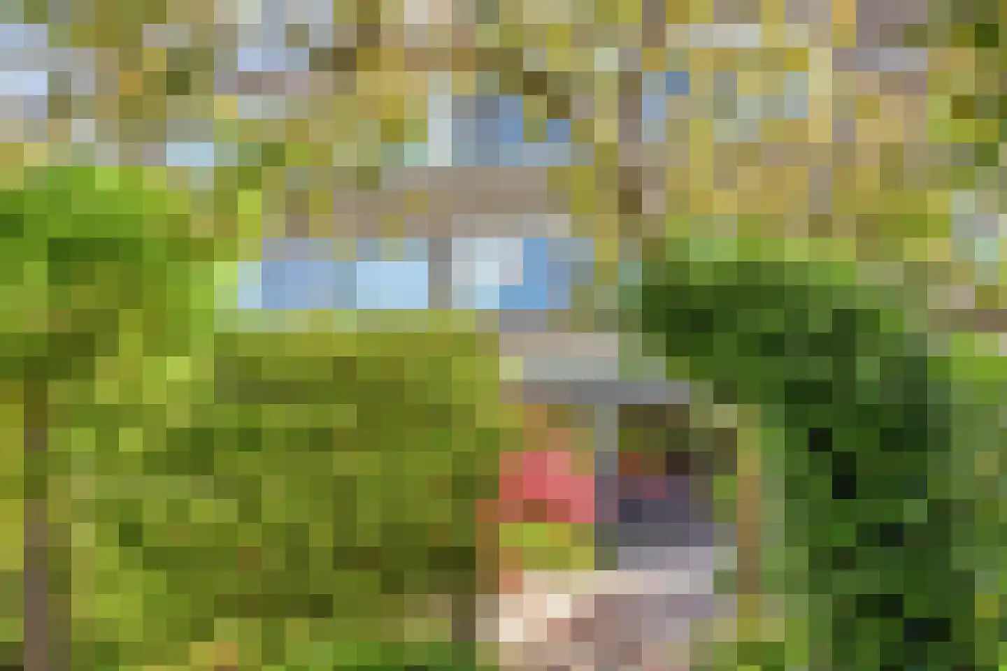 De Vroedschap 10 Krimpen aan den IJssel thumbnail 41