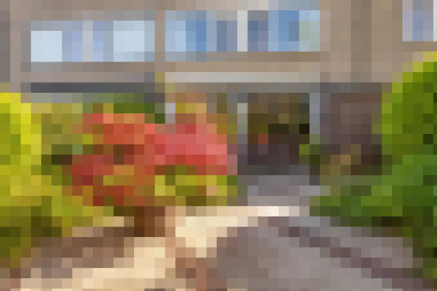 De Vroedschap 10 Krimpen aan den IJssel thumbnail 43
