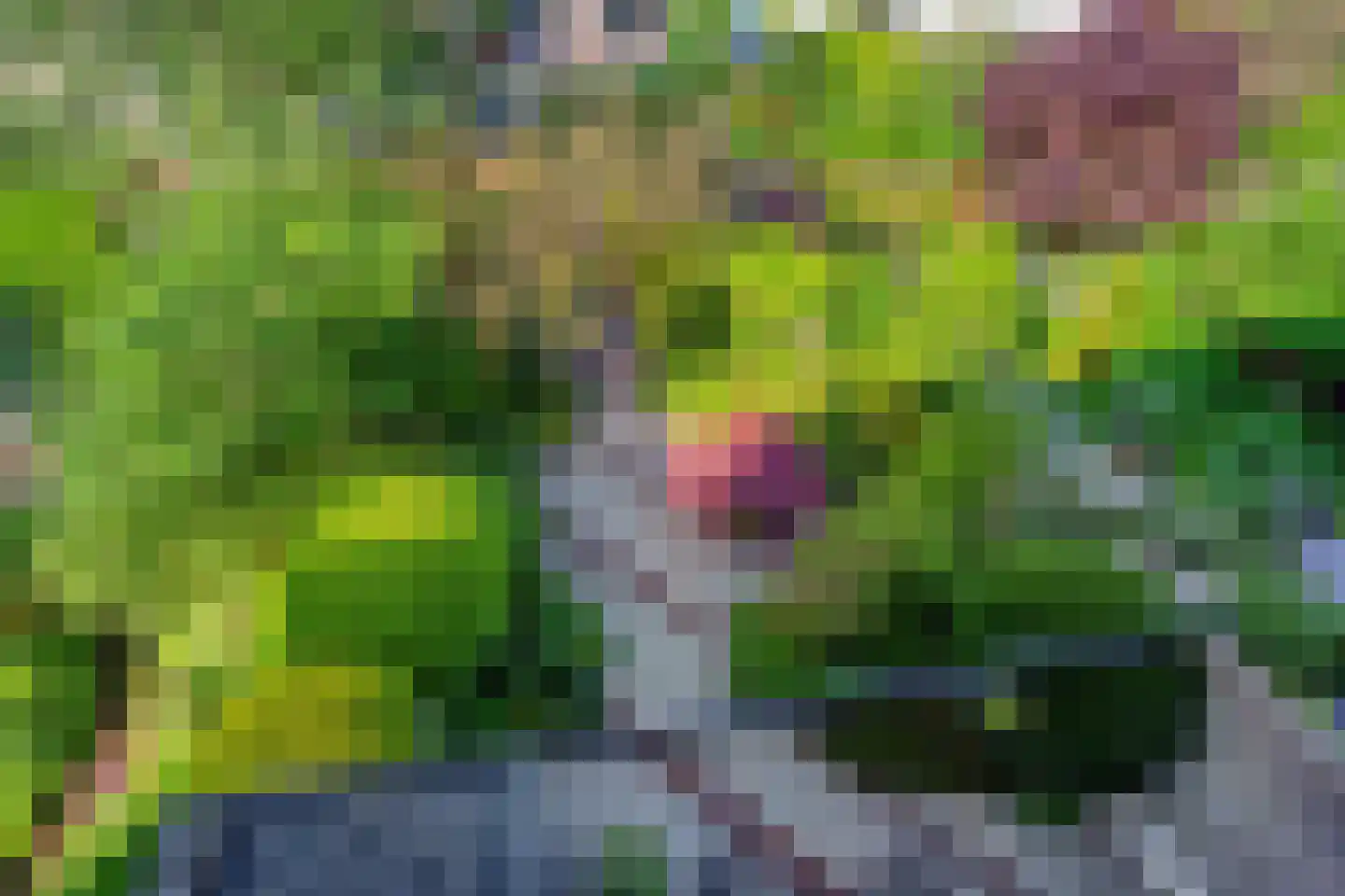 De Vroedschap 10 Krimpen aan den IJssel thumbnail 44