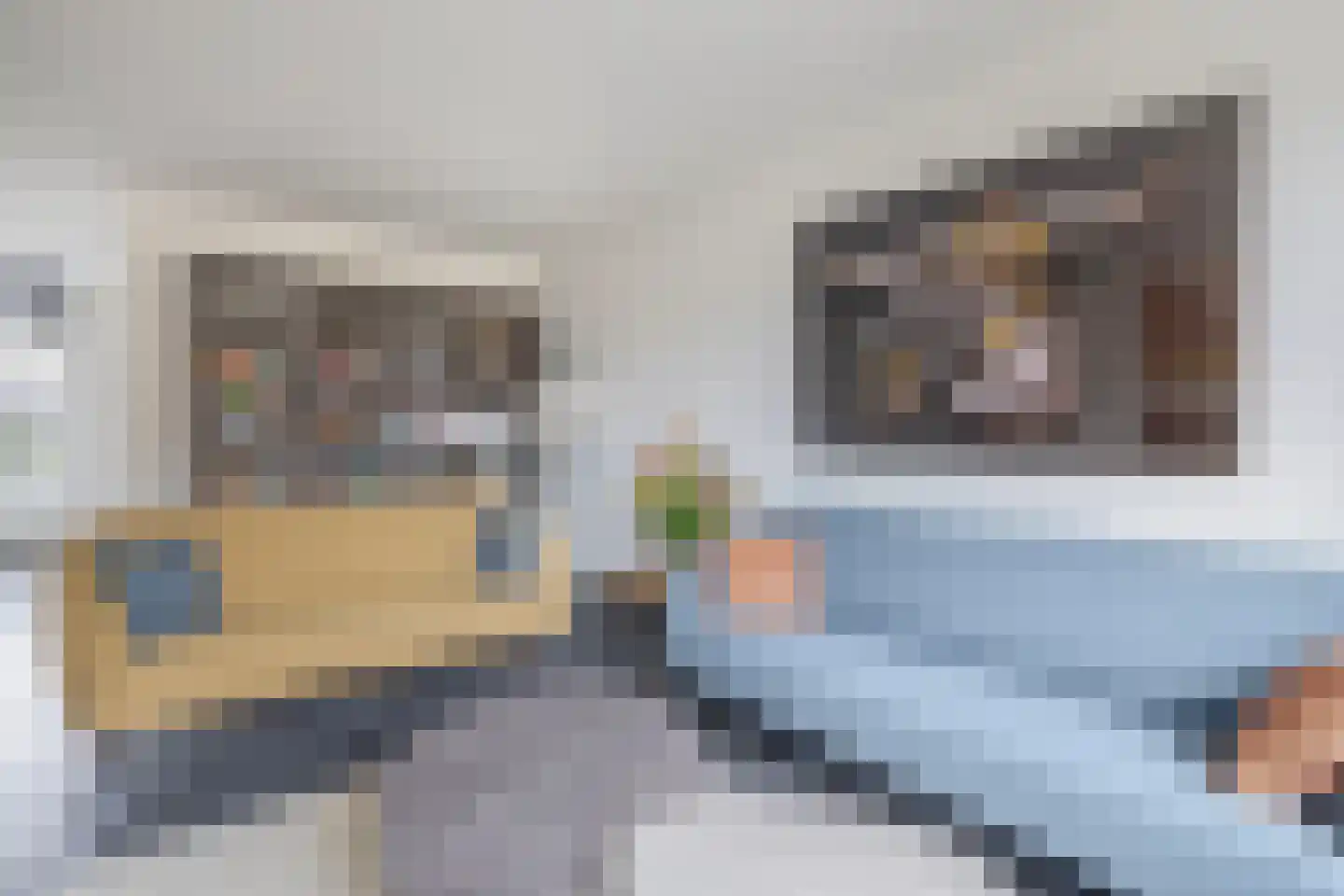 De Vroedschap 11 Krimpen aan den IJssel thumbnail 12